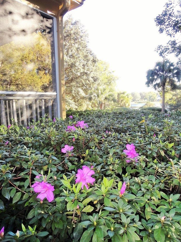 Thurston House Altamonte Springs Bagian luar foto